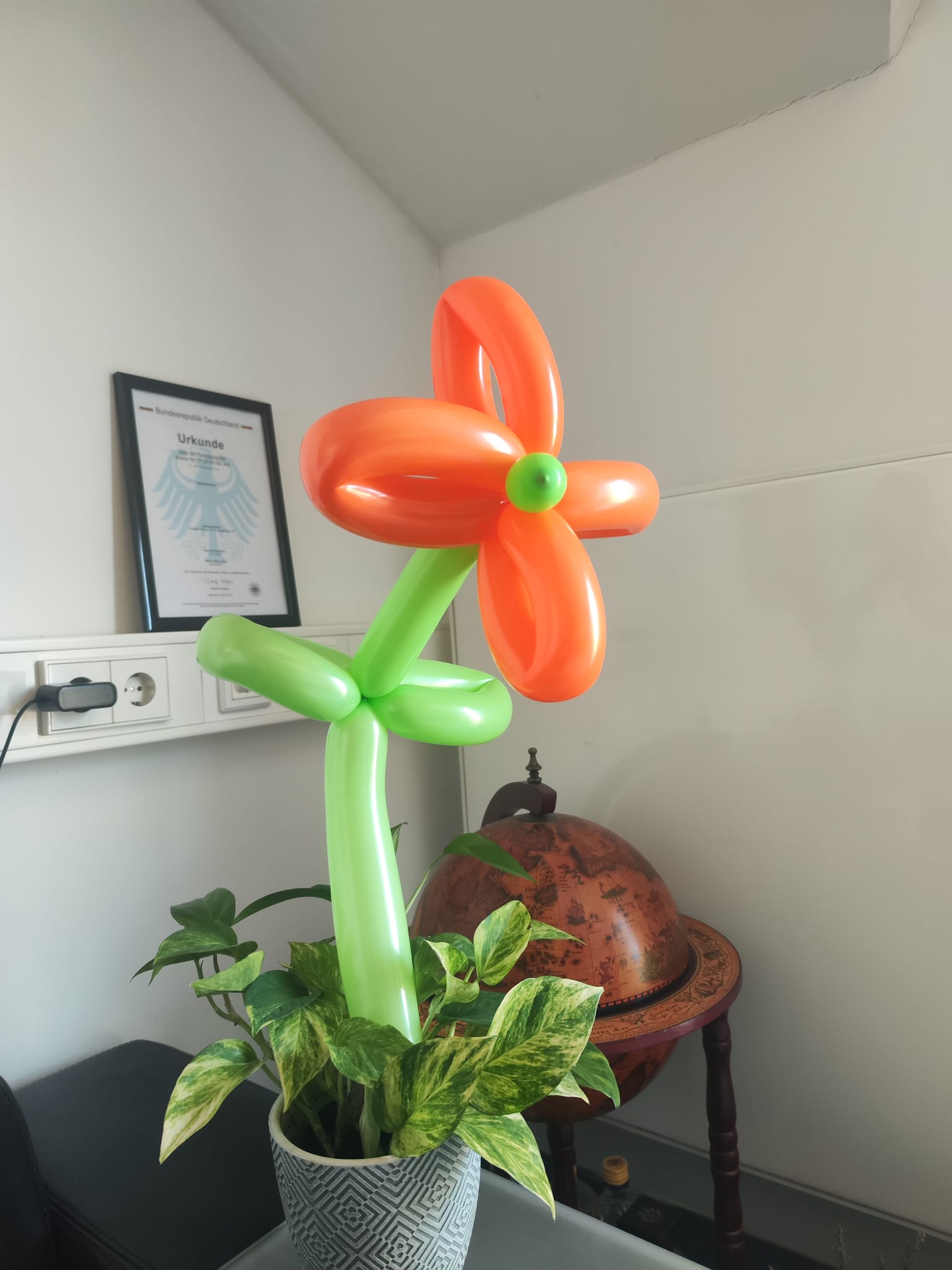 WhatsApp Image 2026-03-17 at 19.07.43 (2).jpeg