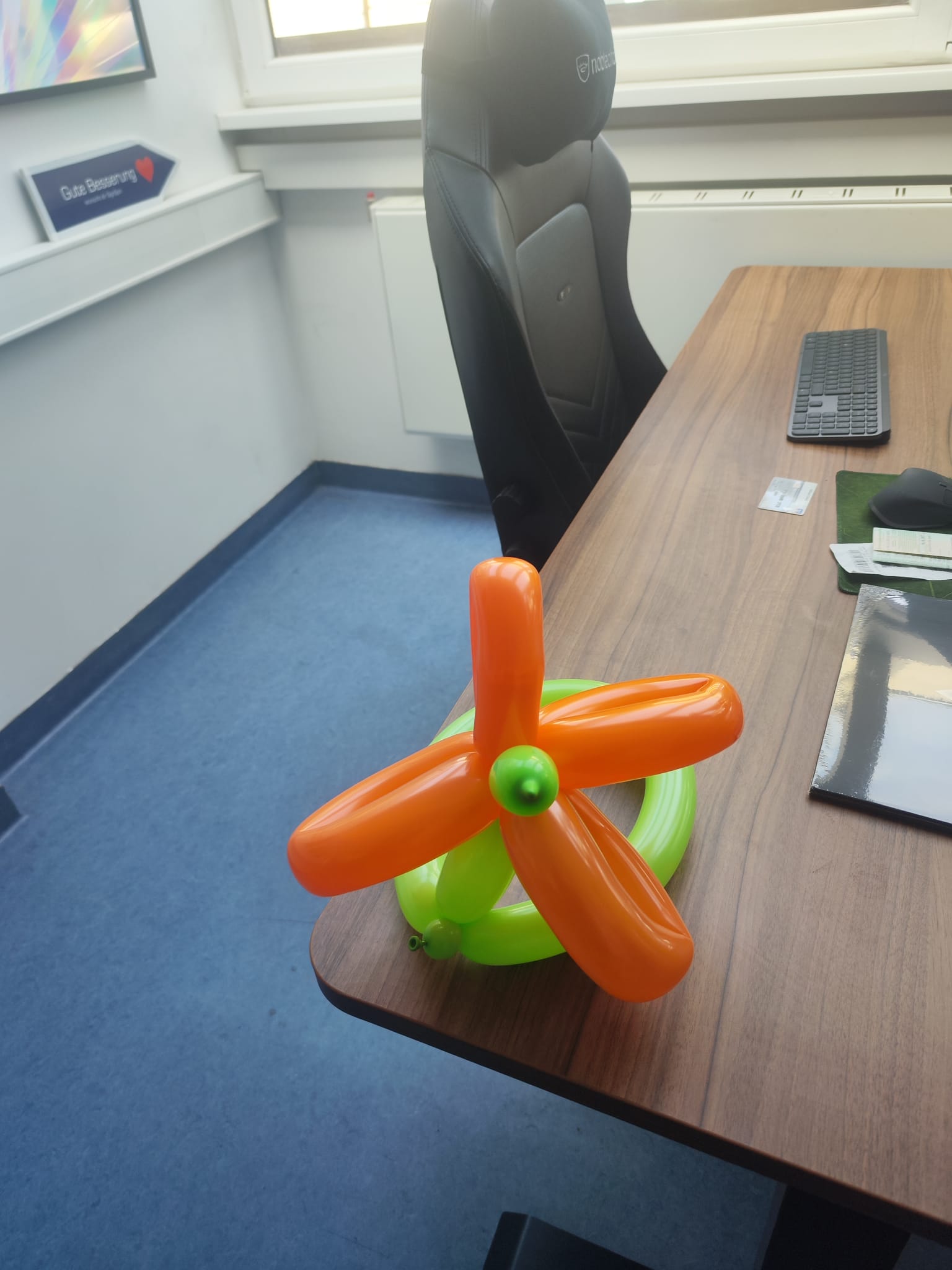 WhatsApp Image 2026-03-17 at 19.07.43 (3).jpeg